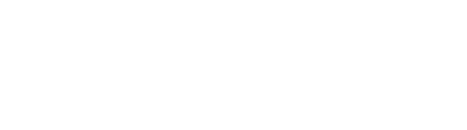North of Tyne Logo